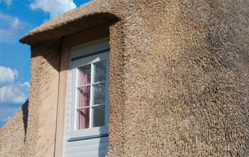 Washerwall thatch roof disadvantages